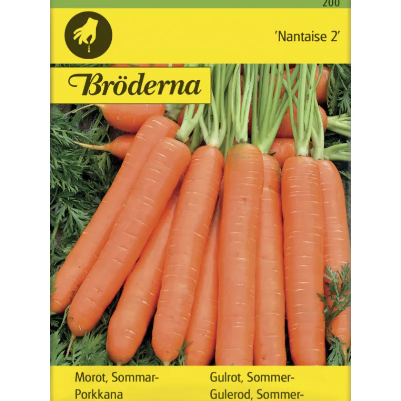 porkkana-nantaise-2-siemen-brd-xisWVaww-0.webp Bröderna Nelsons Kasvien Ja Nurmikonsiemenet-Porkkana Nantaise 2 Siemen