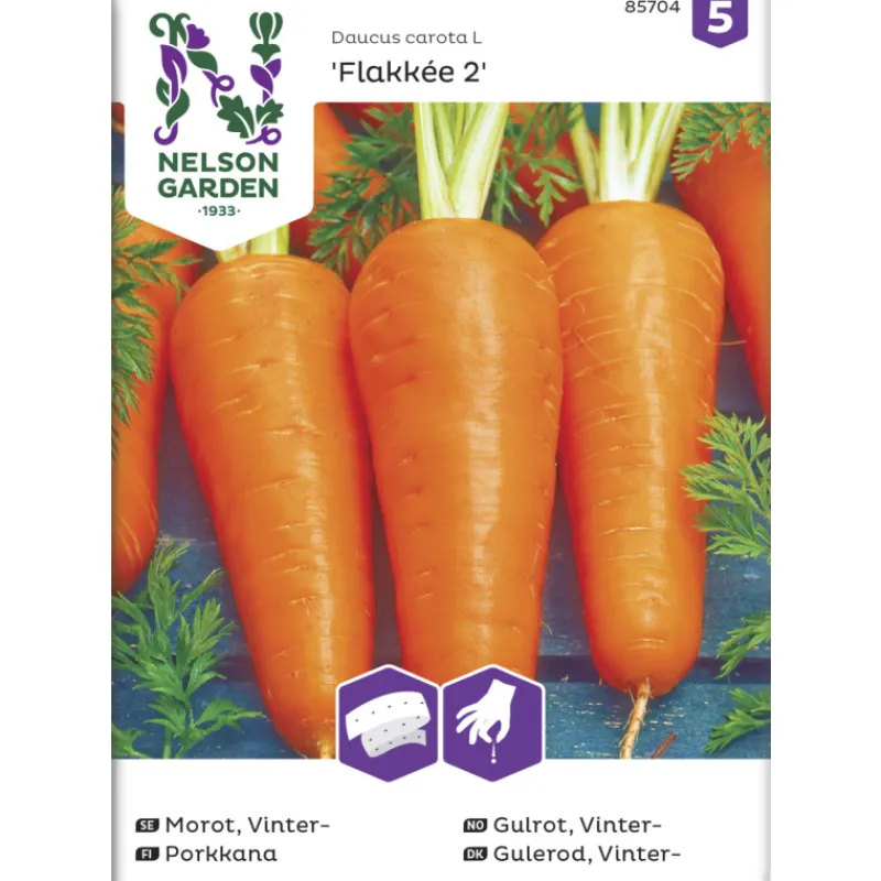 porkkana-siemen-nelson-garden-CSYUZKnG-0.webp Nelson Garden Basic Kasvien Ja Nurmikonsiemenet-Porkkana Siemen Flakkée 2 Kylvönauha