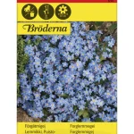 Bröderna Nelsons Kasvien Ja Nurmikonsiemenet-Puistolemmikki Siemen
