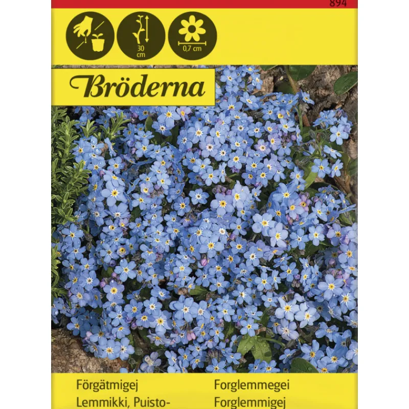 puistolemmikki-siemen-brderna-OElTKBso-0.webp Bröderna Nelsons Kasvien Ja Nurmikonsiemenet-Puistolemmikki Siemen