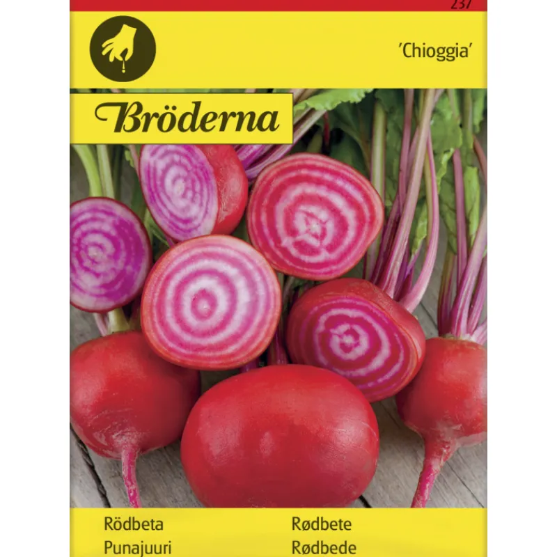 punajuuri-choggia-raita-siemen-dcJFIHpA-0.webp Bröderna Nelsons Kasvien Ja Nurmikonsiemenet-Punajuuri Choggia Raita Siemen