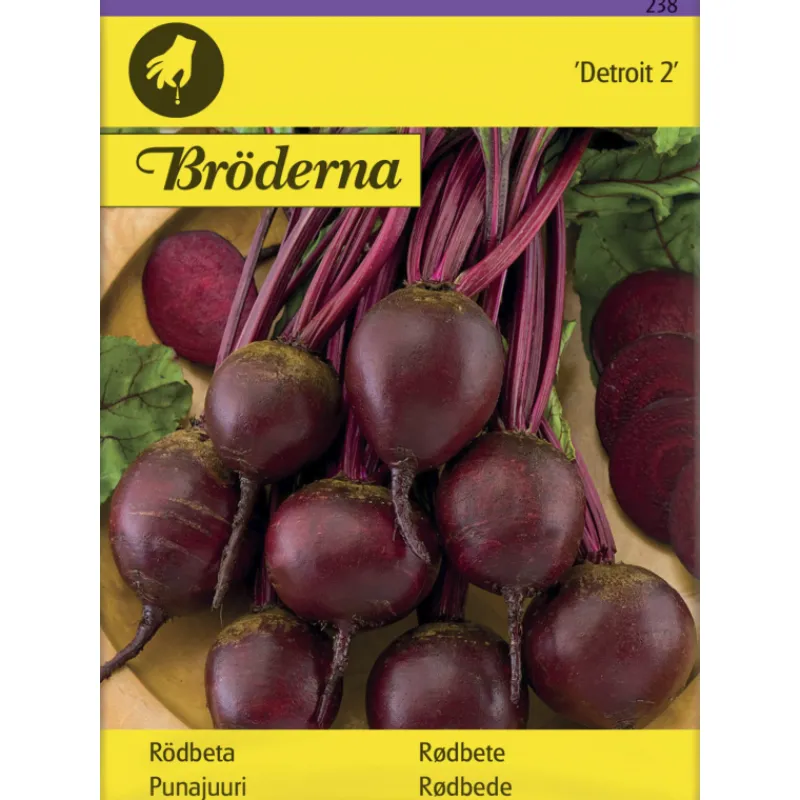 punajuuri-detroit-2-siemen-brd-nFRxxwWc-0.webp Bröderna Nelsons Kasvien Ja Nurmikonsiemenet-Punajuuri Detroit 2 Siemen