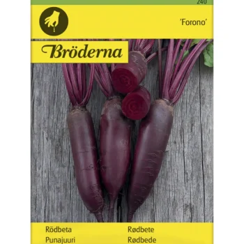 Bröderna Nelsons Kasvien Ja Nurmikonsiemenet-Punajuuri Forono Pitkä Siemen