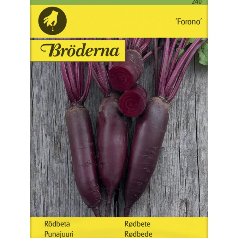 punajuuri-forono-pitk-siemen-b-fZvPLbOR-0.webp Bröderna Nelsons Kasvien Ja Nurmikonsiemenet-Punajuuri Forono Pitkä Siemen