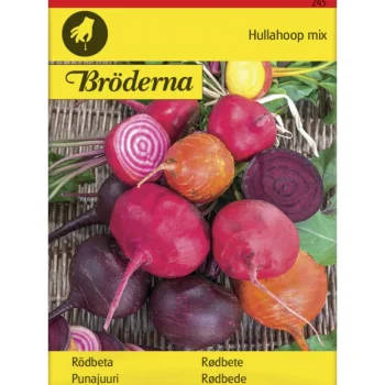 Bröderna Nelsons Kasvien Ja Nurmikonsiemenet-Punajuuri Hullahoop Mix Siemen