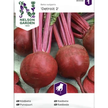 Nelson Garden Basic Kasvien Ja Nurmikonsiemenet-Punajuuri Siemen Detroit 2