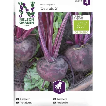 Nelson Garden Basic Kasvien Ja Nurmikonsiemenet-Punajuuri Siemen Detroit 2 Organic