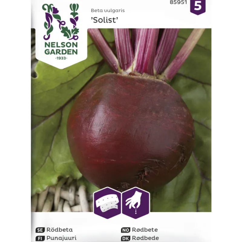 punajuuri-siemen-nelson-garden-bkGhWmLm-0.webp Nelson Garden Basic Kasvien Ja Nurmikonsiemenet-Punajuuri Siemen Solist Kylvönauha