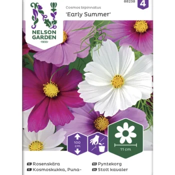 Nelson Garden Basic Kasvien Ja Nurmikonsiemenet-Punakosmoskukka Siemen Early Summer