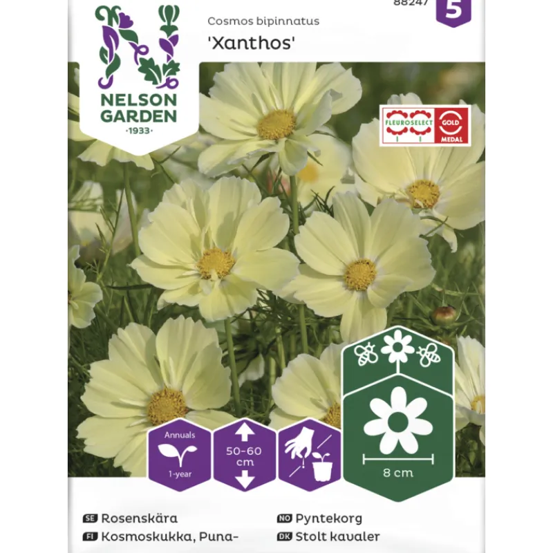 punakosmoskukka-siemen-nelson-cfeSbDHW-0.webp Nelson Garden Basic Kasvien Ja Nurmikonsiemenet-Punakosmoskukka Siemen Xanthos