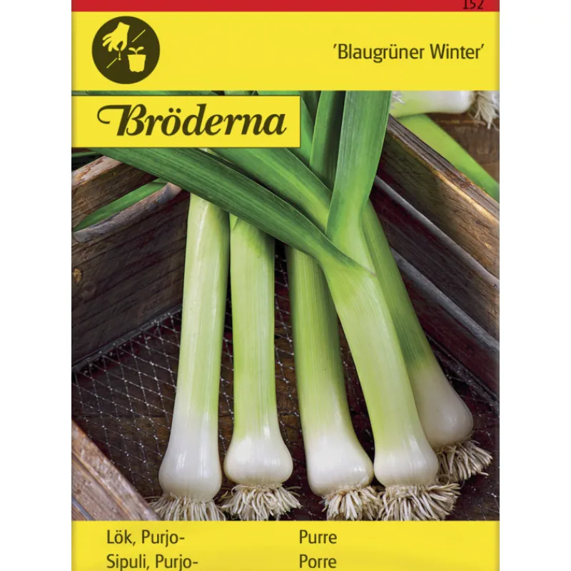 purjosipuli-blaugrner-winter-s-VbjxOSKW-0.webp Bröderna Nelsons Kasvien Ja Nurmikonsiemenet-Purjosipuli Blaugrüner Winter Siemen