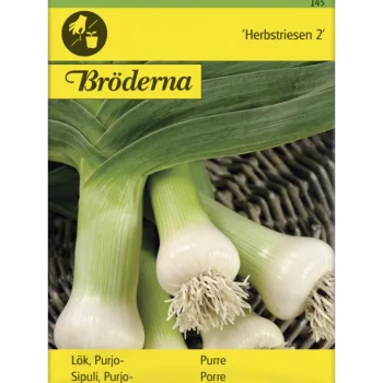 Bröderna Nelsons Kasvien Ja Nurmikonsiemenet-Purjosipuli Herbstriesen Siemen