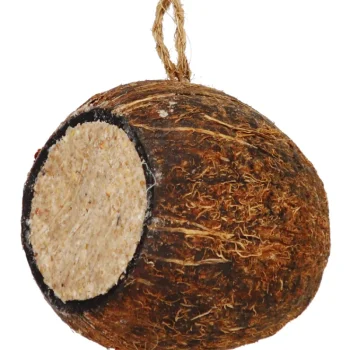 Real Bird Linnunruoka^Rasvasiemenseos 450 G Kookoksessa