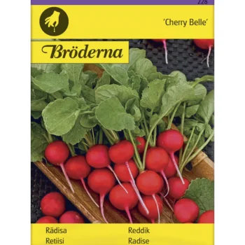 Bröderna Nelsons Kasvien Ja Nurmikonsiemenet-Retiisi Cherry Belle Siemen