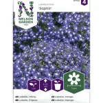 Nelson Garden Basic Kasvien Ja Nurmikonsiemenet-Riippalobelia Siemen Saphir