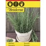 Bröderna Nelsons Kasvien Ja Nurmikonsiemenet-Rosmariini Siemen