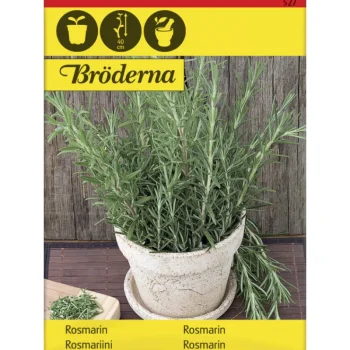 Bröderna Nelsons Kasvien Ja Nurmikonsiemenet-Rosmariini Siemen
