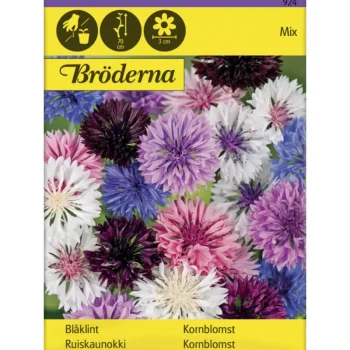 Bröderna Nelsons Kasvien Ja Nurmikonsiemenet-Ruiskaunokki Väriseos Siemen