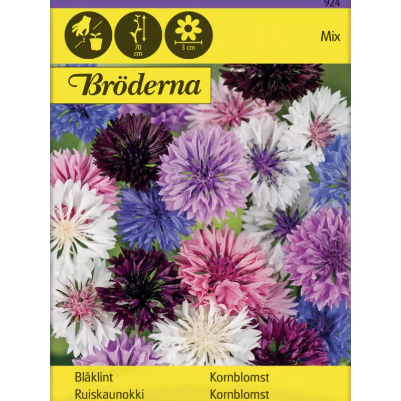 ruiskaunokki-vriseos-siemen-br-fmjLcbHq-0.webp Bröderna Nelsons Kasvien Ja Nurmikonsiemenet-Ruiskaunokki Väriseos Siemen