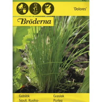 Bröderna Nelsons Kasvien Ja Nurmikonsiemenet-Ruohosipuli Tavallinen Dolores Siemen
