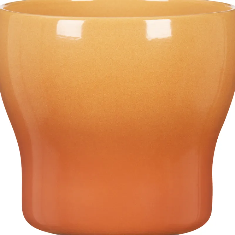 ruukku-scheurich-824-13-cm-aur-GVXpncpz-0.webp Scheurich Sisäkukkaruukut-Ruukku 824 13 Cm Auringonlasku