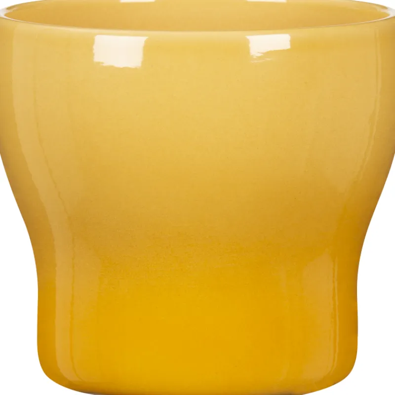 ruukku-scheurich-824-18-cm-aur-mdlBgwiK-0.webp Scheurich Sisäkukkaruukut-Ruukku 824 18 Cm Auringonnousu