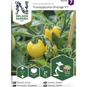 Nelson Garden Basic Kasvien Ja Nurmikonsiemenet-Ruukkutomaatti Siemen Funnyplums Orange F1