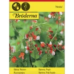 Bröderna Nelsons Kasvien Ja Nurmikonsiemenet-Ruusupapu Hestia Matala Siemen