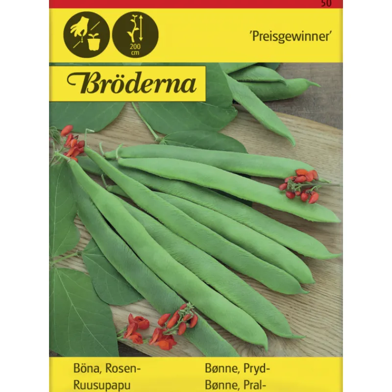 ruusupapu-preisgewinner-siemen-NLkBrWWj-0.webp Bröderna Nelsons Kasvien Ja Nurmikonsiemenet-Ruusupapu Preisgewinner Siemen