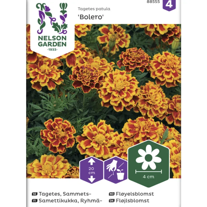 ryhmsamettikukka-siemen-nelson-BwCySCRc-0.webp Nelson Garden Basic Kasvien Ja Nurmikonsiemenet-Ryhmäsamettikukka Siemen Bolero