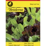 Bröderna Nelsons Kasvien Ja Nurmikonsiemenet-Salaatti Baby Leaf Seos Siemen