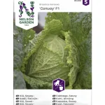 Nelson Garden Basic Kasvien Ja Nurmikonsiemenet-Savojinkaali Siemen Convoy F1