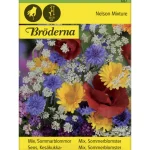 Bröderna Nelsons Kasvien Ja Nurmikonsiemenet-Seos Kesäkukka Siemen