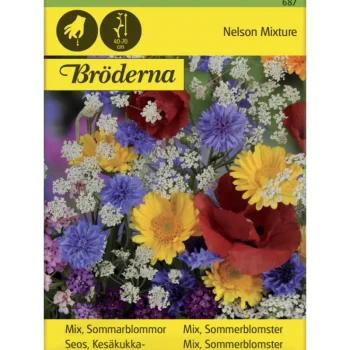 Bröderna Nelsons Kasvien Ja Nurmikonsiemenet-Seos Kesäkukka Siemen