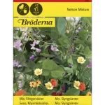 Bröderna Nelsons Kasvien Ja Nurmikonsiemenet-Seos Köynnöskukkia- Siemen