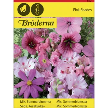 Bröderna Nelsons Kasvien Ja Nurmikonsiemenet-Seos Roosanvärisiä Kesäkukkia Siemen