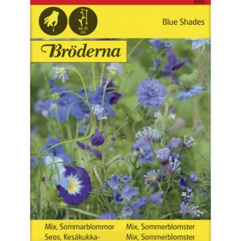 Bröderna Nelsons Kasvien Ja Nurmikonsiemenet-Seos Sinisiä Kesäkukkia Siemen