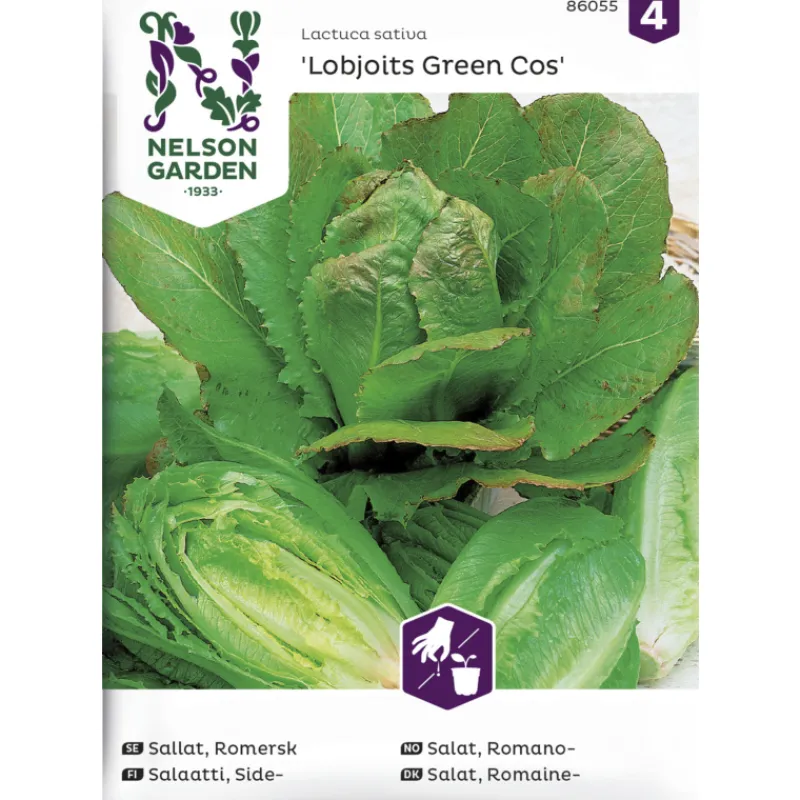 sidesalaatti-siemen-nelson-gar-VCcstgbr-0.webp Nelson Garden Basic Kasvien Ja Nurmikonsiemenet-Sidesalaatti Siemen Lobjoits Green Cos