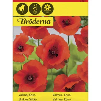 Bröderna Nelsons Kasvien Ja Nurmikonsiemenet-Silkkiunikko Siemen