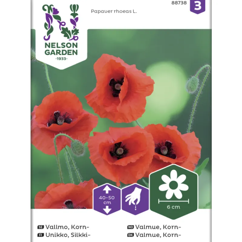 silkkiunikko-siemen-nelson-gar-pPLTseHg-0.webp Nelson Garden Basic Kasvien Ja Nurmikonsiemenet-Silkkiunikko Siemen