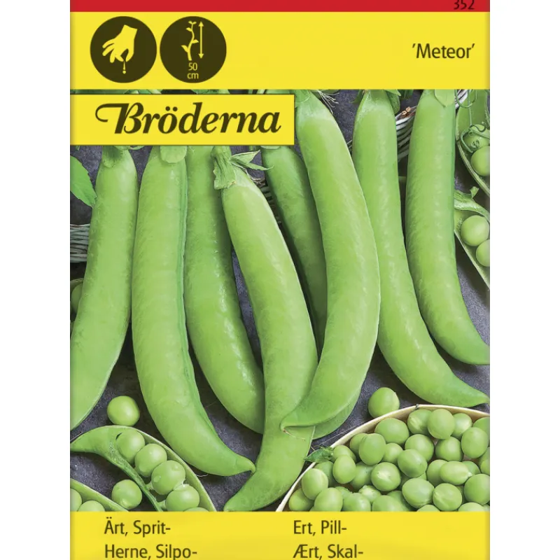 silpoherne-meteor-siemen-brder-cwwNNBNh-0.webp Bröderna Nelsons Kasvien Ja Nurmikonsiemenet-Silpoherne Meteor Siemen