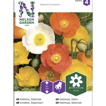 Nelson Garden Basic Kasvien Ja Nurmikonsiemenet-Siperianunikko Siemen Väriseos