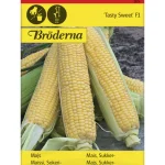Bröderna Nelsons Kasvien Ja Nurmikonsiemenet-Sokerimaissi Tasty Sweet F Siemen