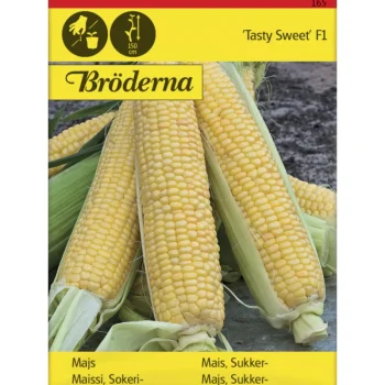 Bröderna Nelsons Kasvien Ja Nurmikonsiemenet-Sokerimaissi Tasty Sweet F Siemen
