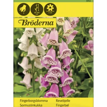 Bröderna Nelsons Kasvien Ja Nurmikonsiemenet-Sormustinkukka Väriseos Siemen