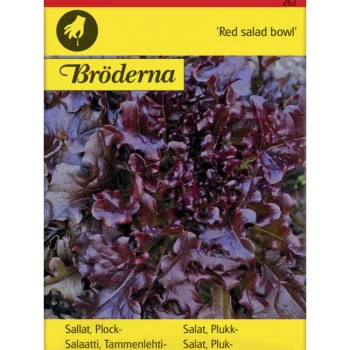 Bröderna Nelsons Kasvien Ja Nurmikonsiemenet-Tammenlehtisalaatti Red Salad Bowl Siemen