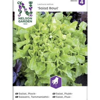 Nelson Garden Basic Kasvien Ja Nurmikonsiemenet-Tammenlehtisalaatti Siemen Salad Bowl