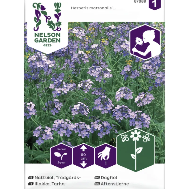 tarhaillakko-siemen-nelson-gar-QSLUyOYX-0.webp Nelson Garden Basic Kasvien Ja Nurmikonsiemenet-Tarhaillakko Siemen