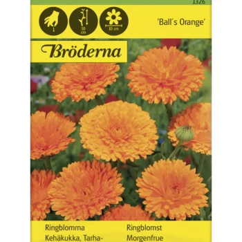 Bröderna Nelsons Kasvien Ja Nurmikonsiemenet-Tarhakehäkukka Balls Orange Siemen
