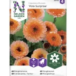Nelson Garden Basic Kasvien Ja Nurmikonsiemenet-Tarhakehäkukka Siemen Pink Surprise